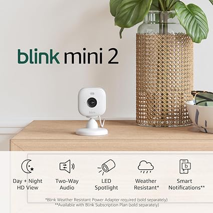 Blink Mini 2